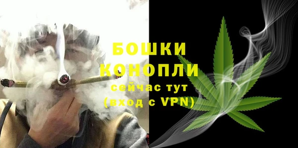 гидра Протвино